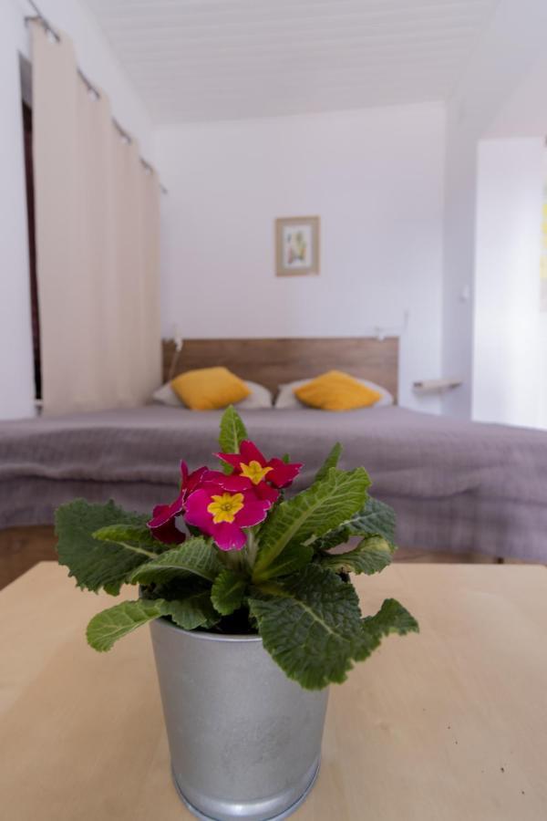 Hill Apartman - Maksimir Rebro زغرب المظهر الخارجي الصورة